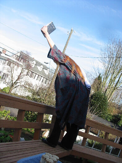 {short description of image}