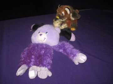 {short description of image}