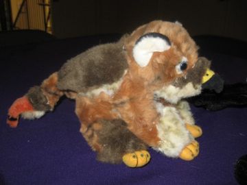 {short description of image}