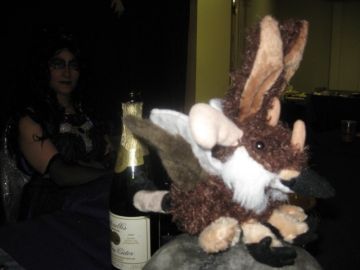 {short description of image}