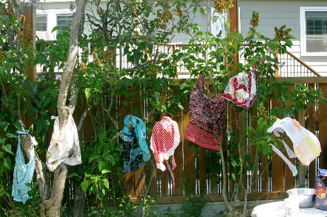 {short description of image}